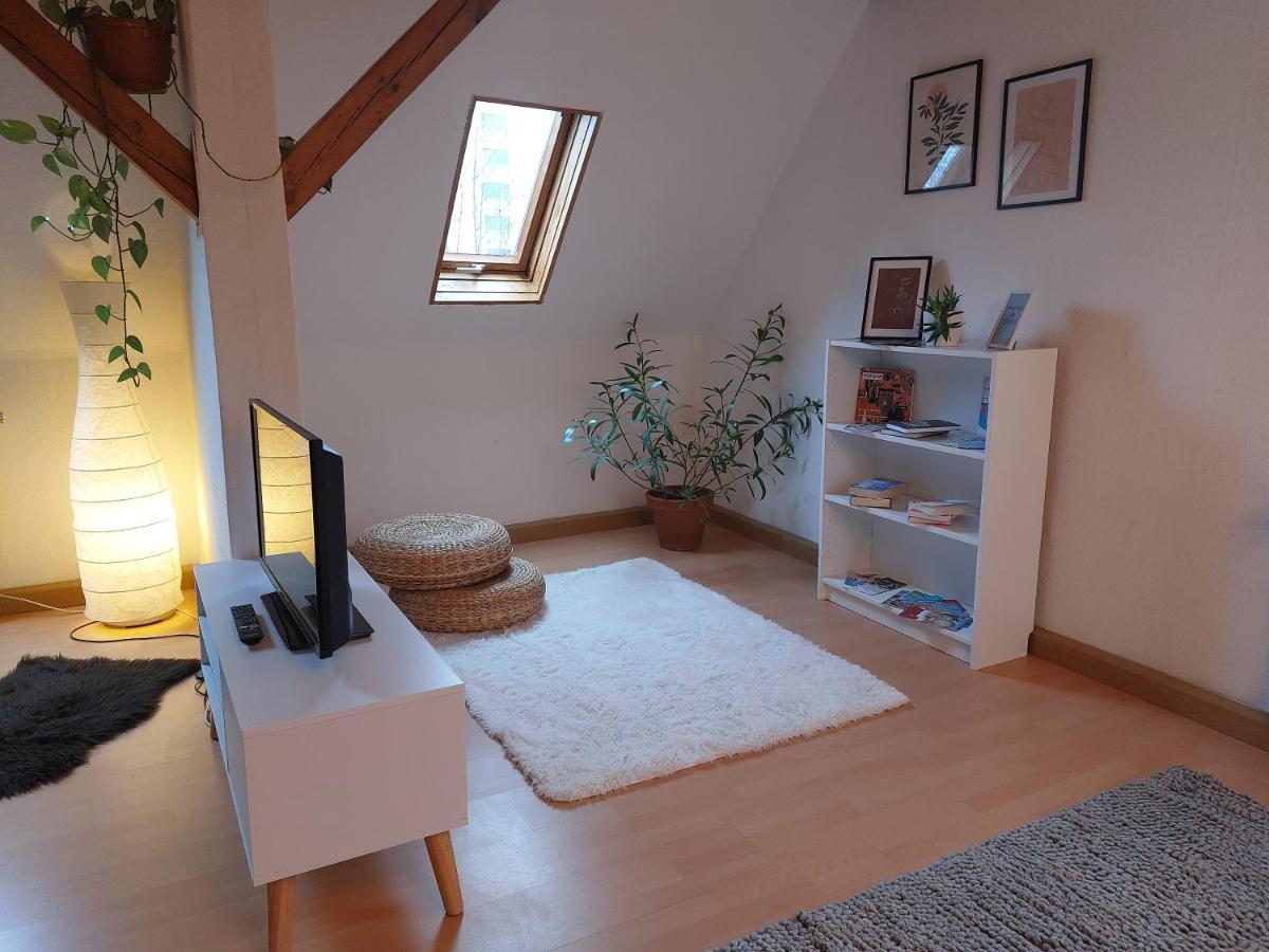 Ferienwohnung Am Salzsee Bad Windsheim Buitenkant foto